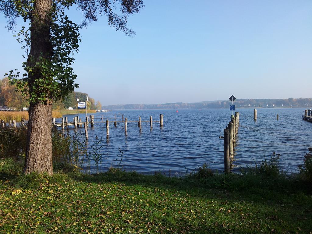 Seeblick Apartment Bad Saarow Bagian luar foto