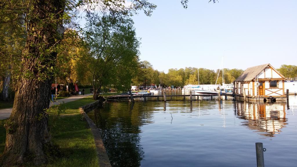 Seeblick Apartment Bad Saarow Bagian luar foto